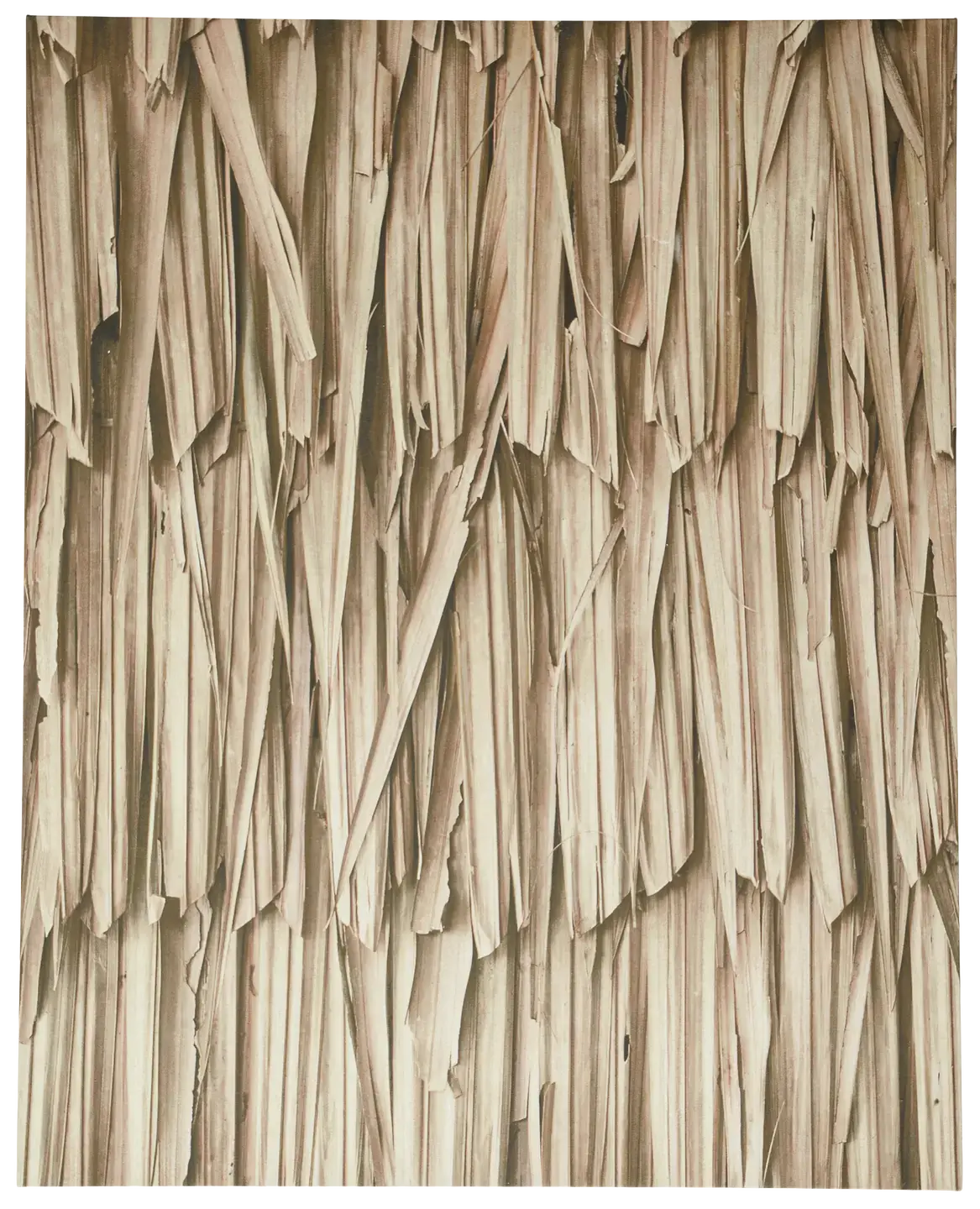 Layers of Leaves Gallery - 50% OFF - OBX09