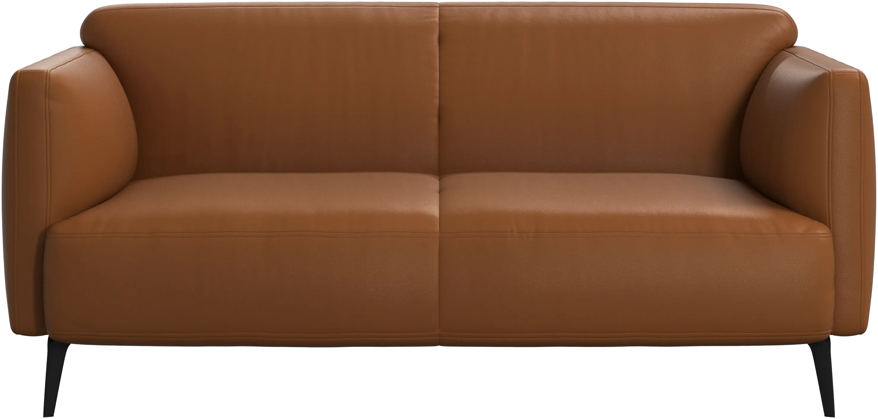 Modena 2 seater sofa