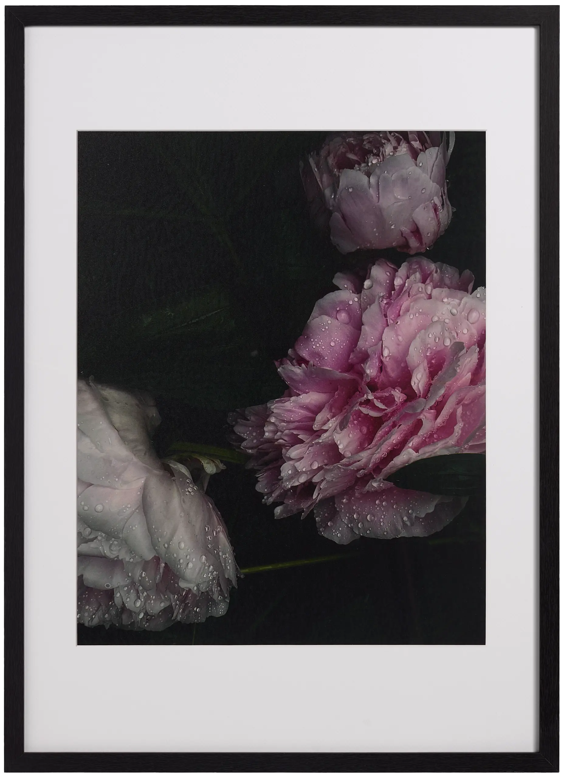 Accessories Flora 1 Fotokunst (30% Preisvorteil)