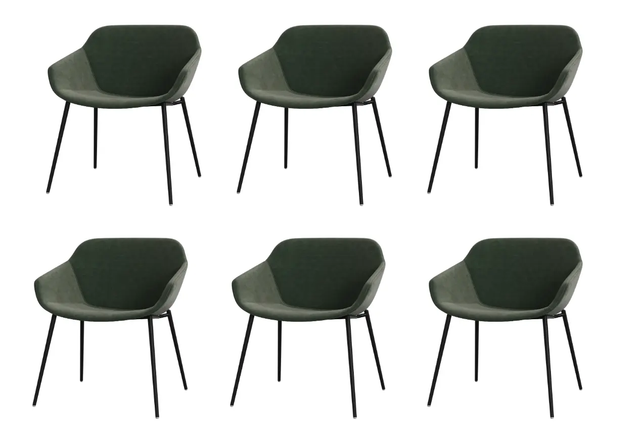 Dining chairs 6 Vienna Esszimmerstuhl (15% Preisvorteil)