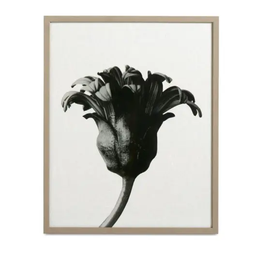 Accessories Tablou BoConcept Forms in Nature -20%