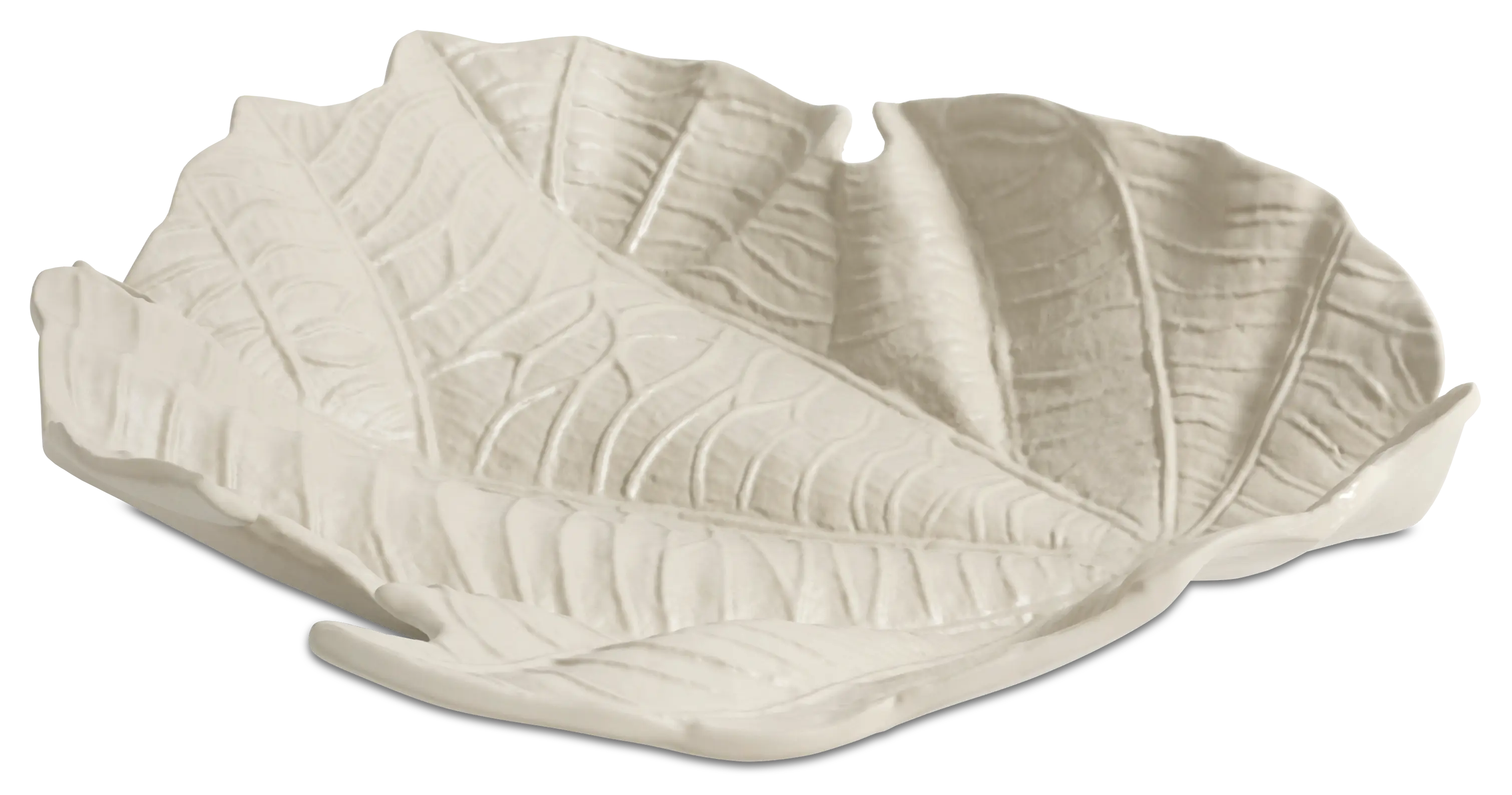 Velvet Leaf