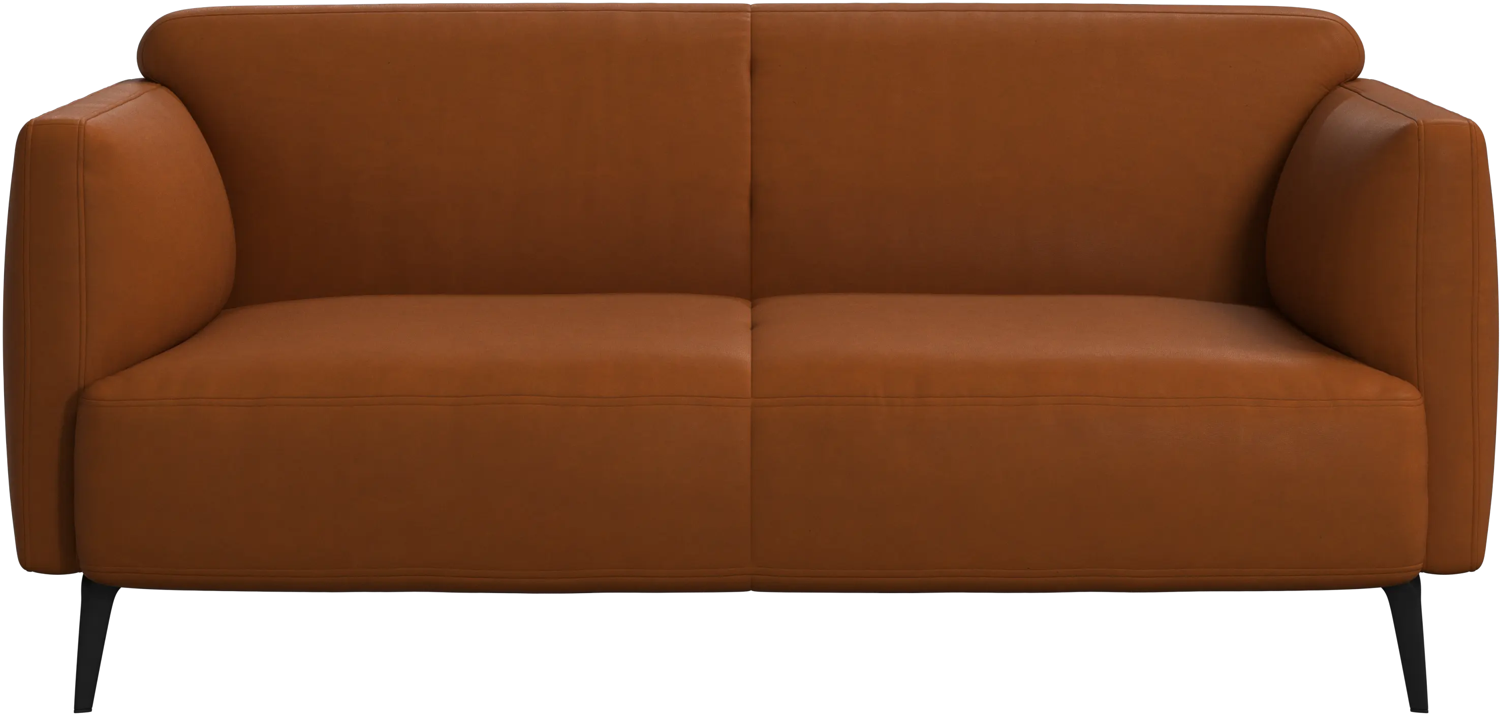 Modena 2 seater sofa