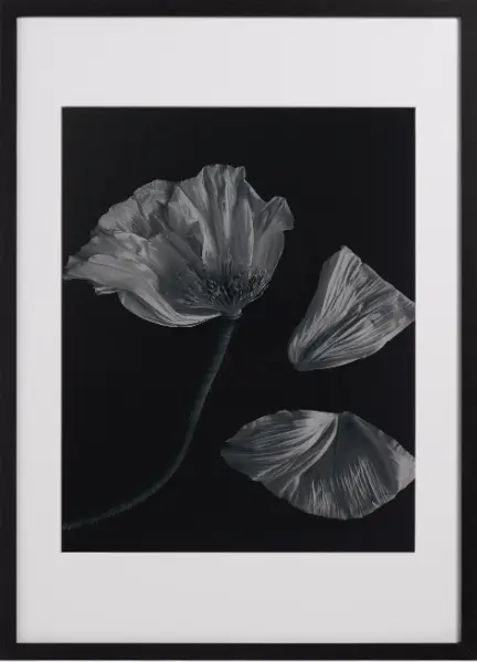 Accessories TABLEAU FLORA 2 -20%