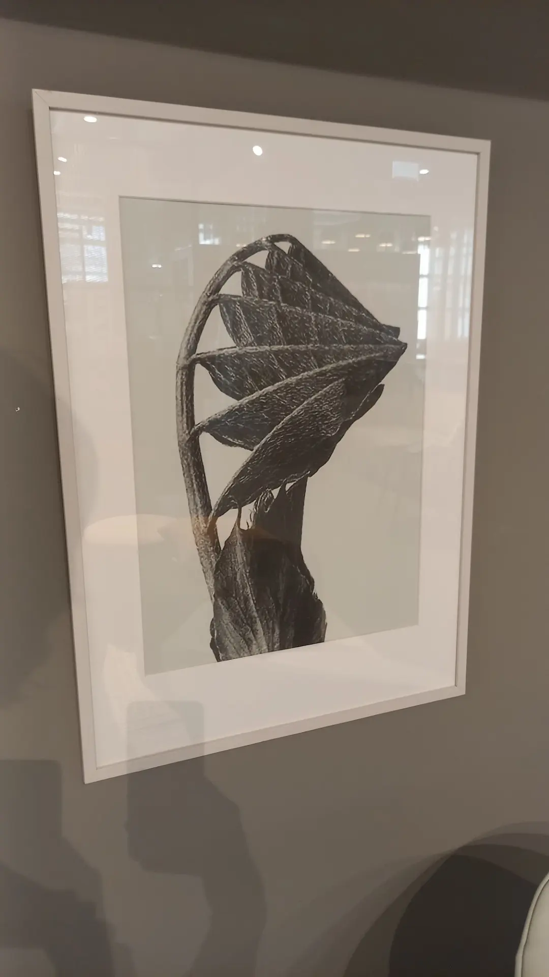 Accessories Kunstdrucke, gerahmt: Nature Form, Common Dandeloin (75€ Ersparnis pro Bild)