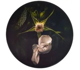 Accessories Darkness Falls, Galerie (197€ Ersparnis)