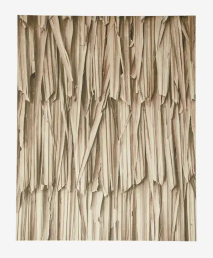 Layers of leaves Kunstgalerie