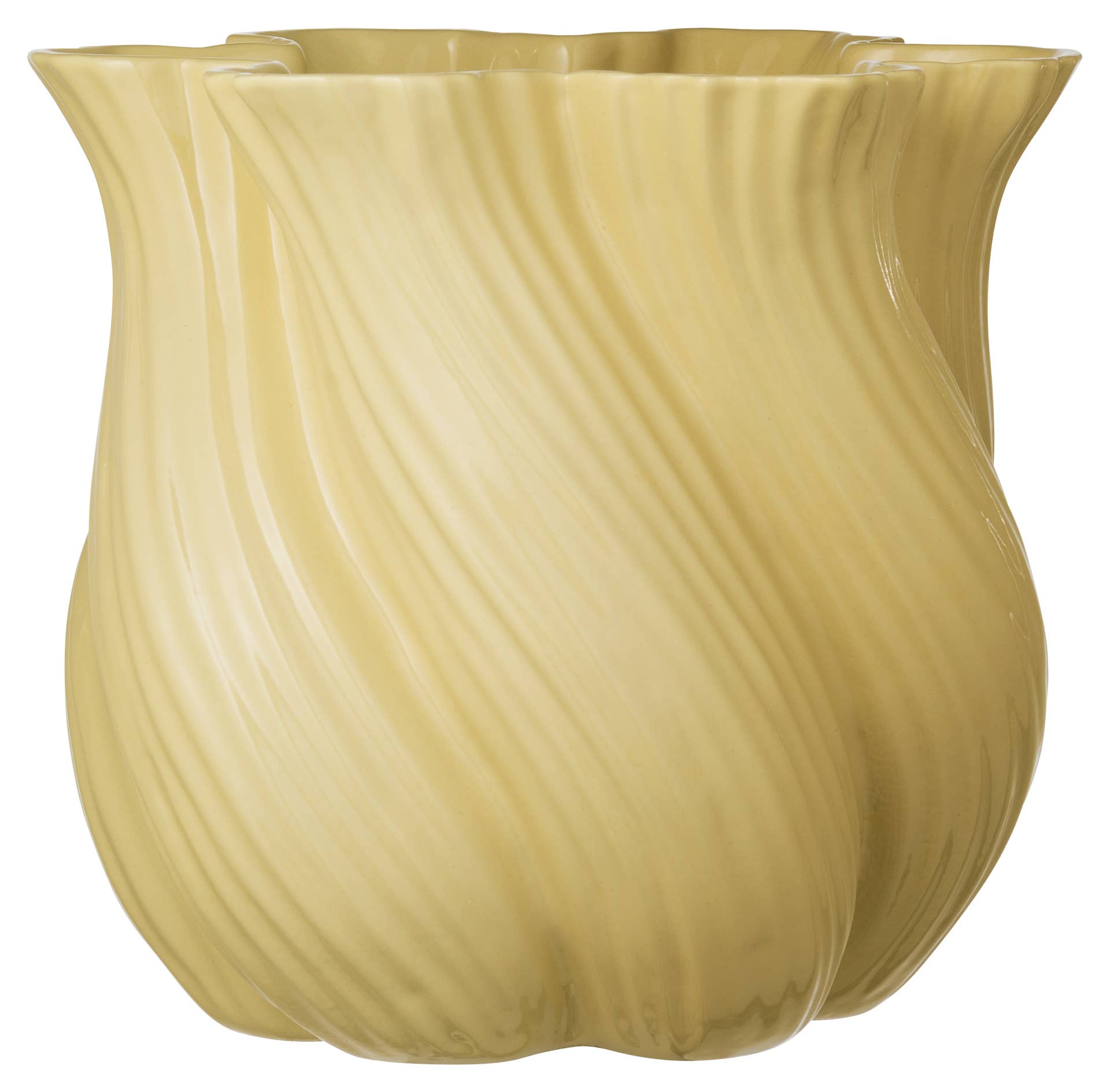 Flora 6