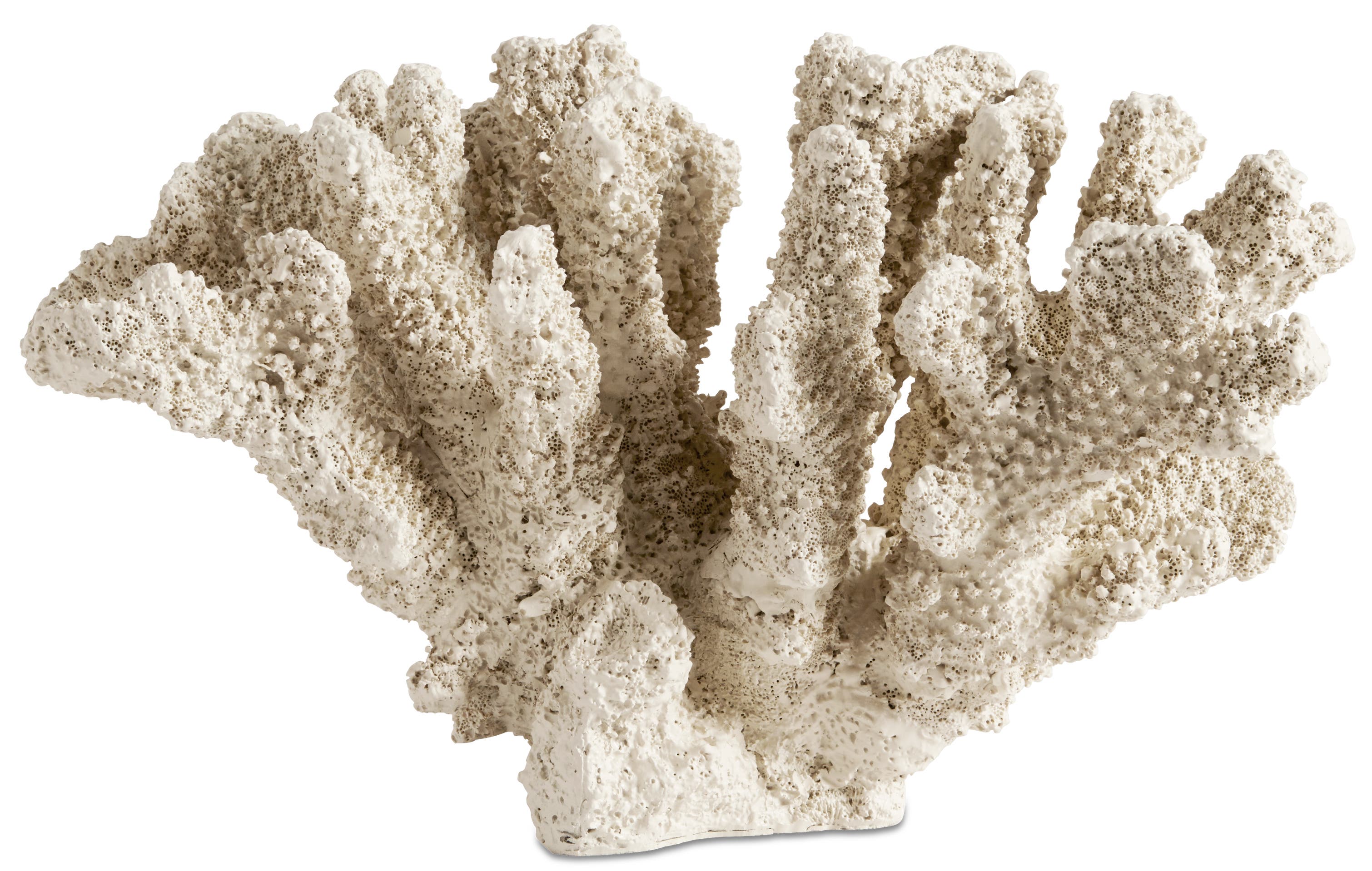 escultura coral Belize