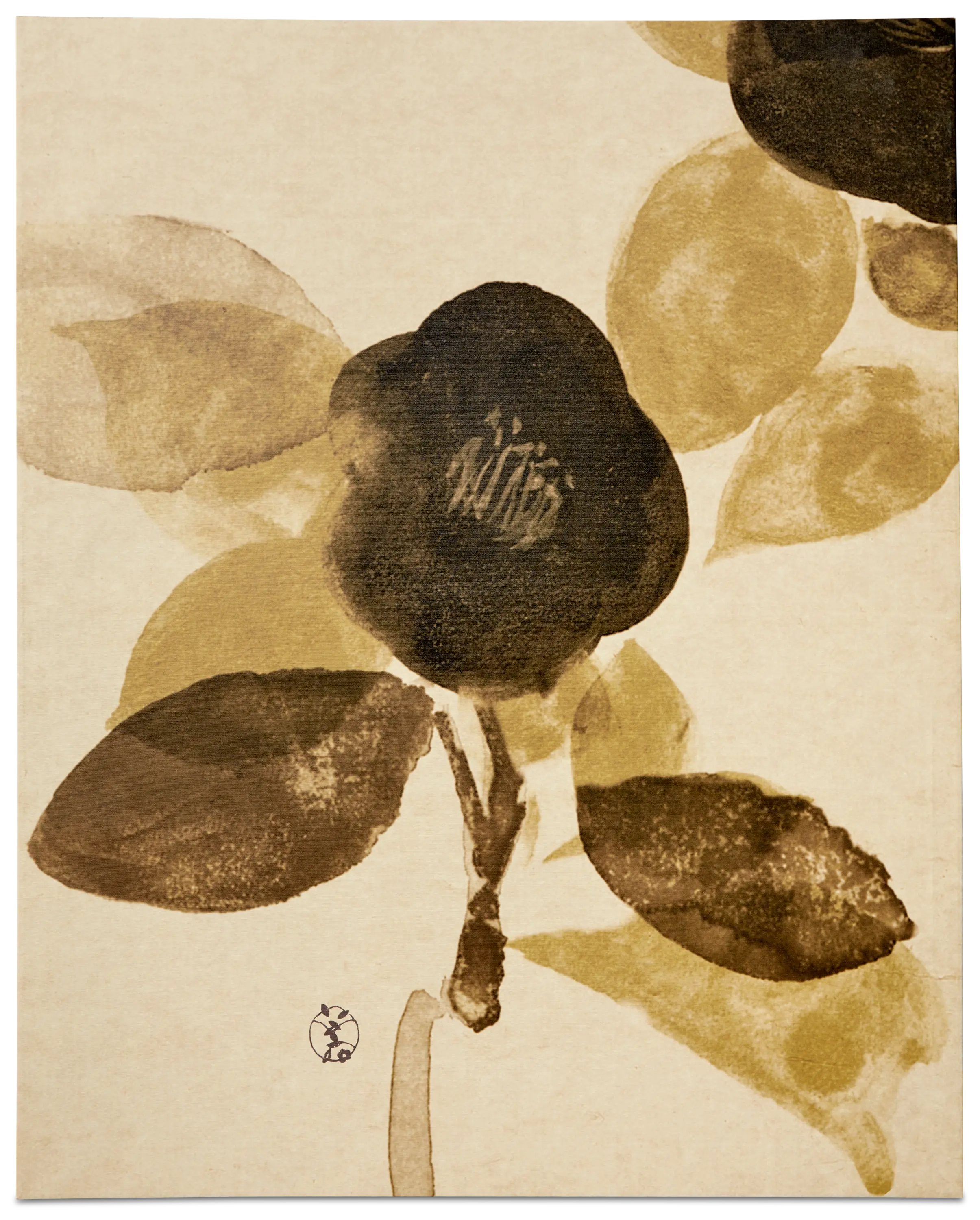 Accessories Hana No Ma ll art