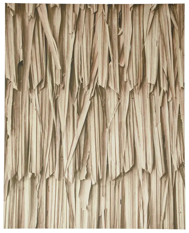 Layers of leaves gallery