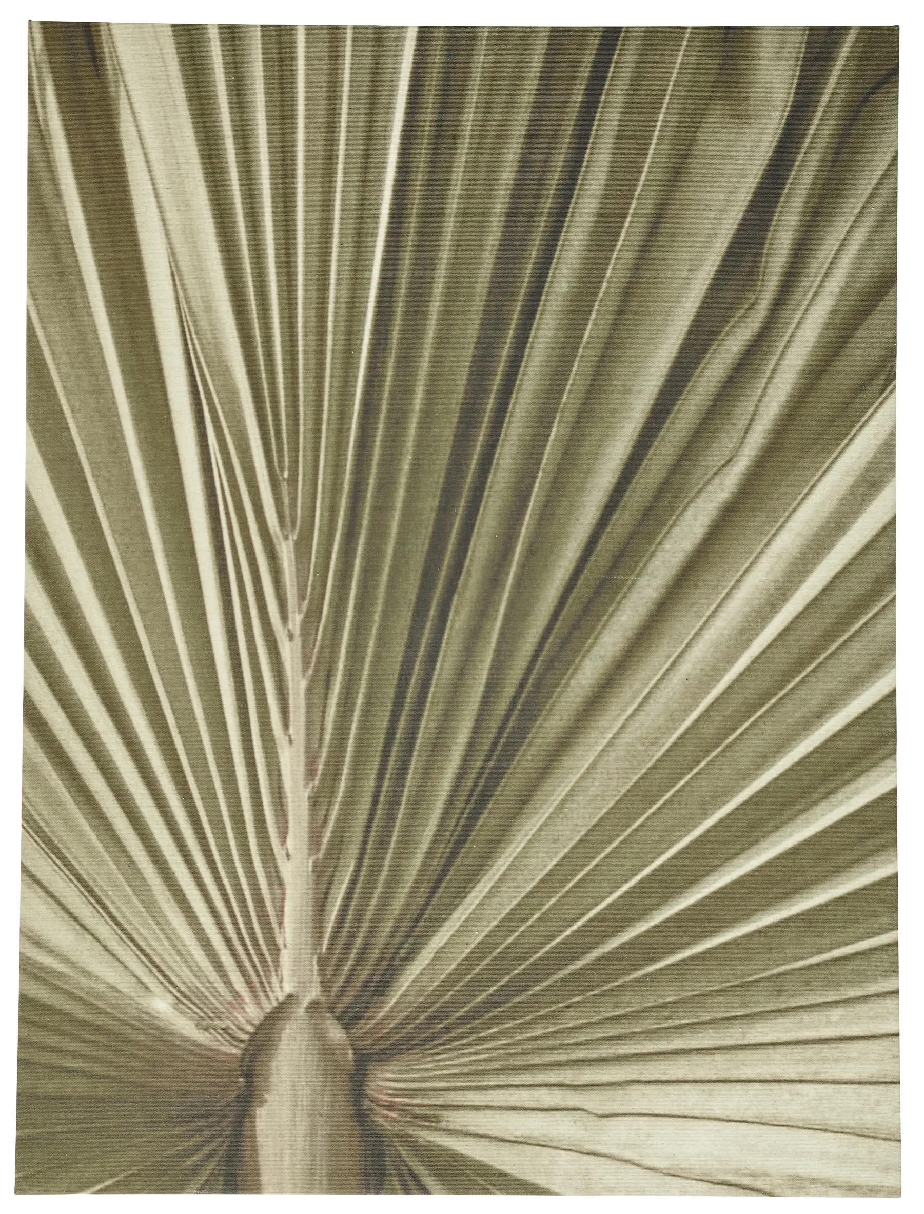 Palm leaf Kunstgalerie