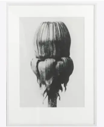 Accessories Tableau Common Dandelion framed art -40%