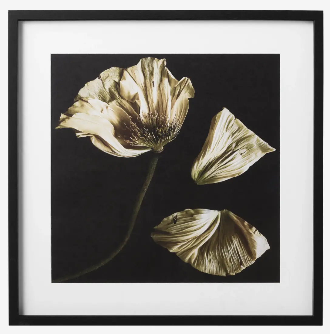 Accessories Flora 8 Kunstgalerie (25 % Preisvorteil)