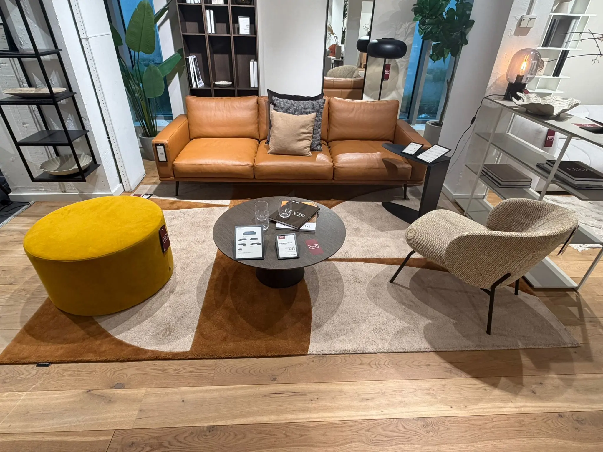 Rugs Tapijt van 2 x 3 m uit de showroom