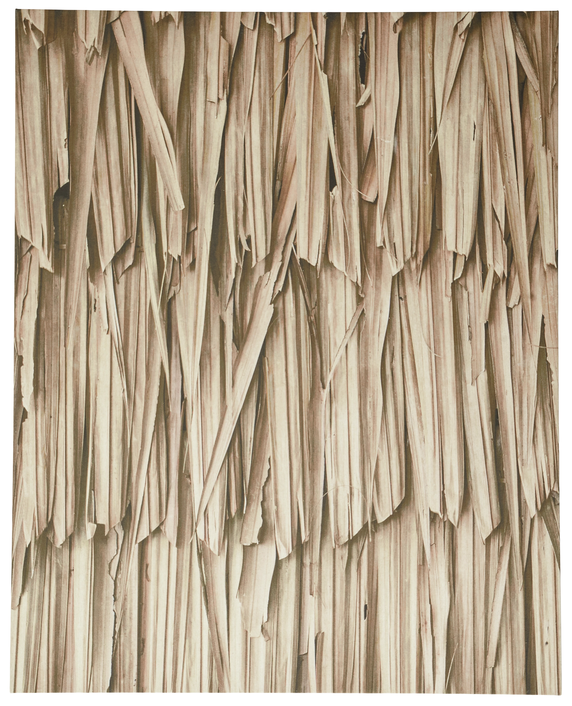 Layers of leaves