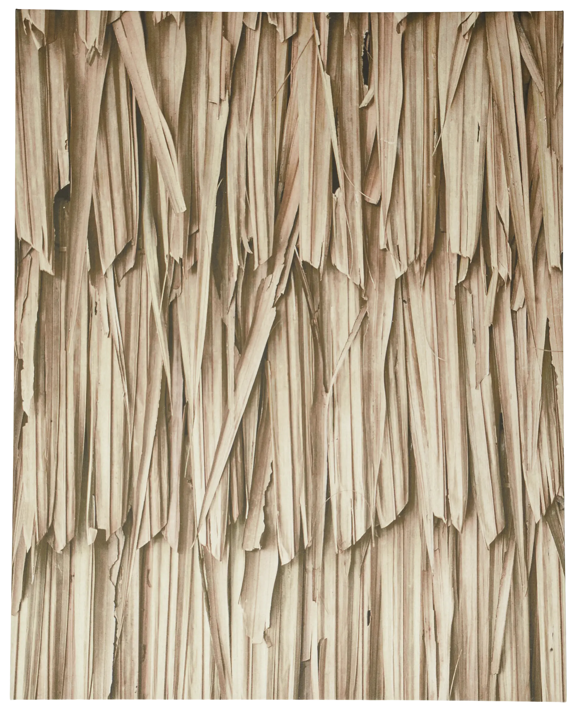 Layers of leaves Galerie