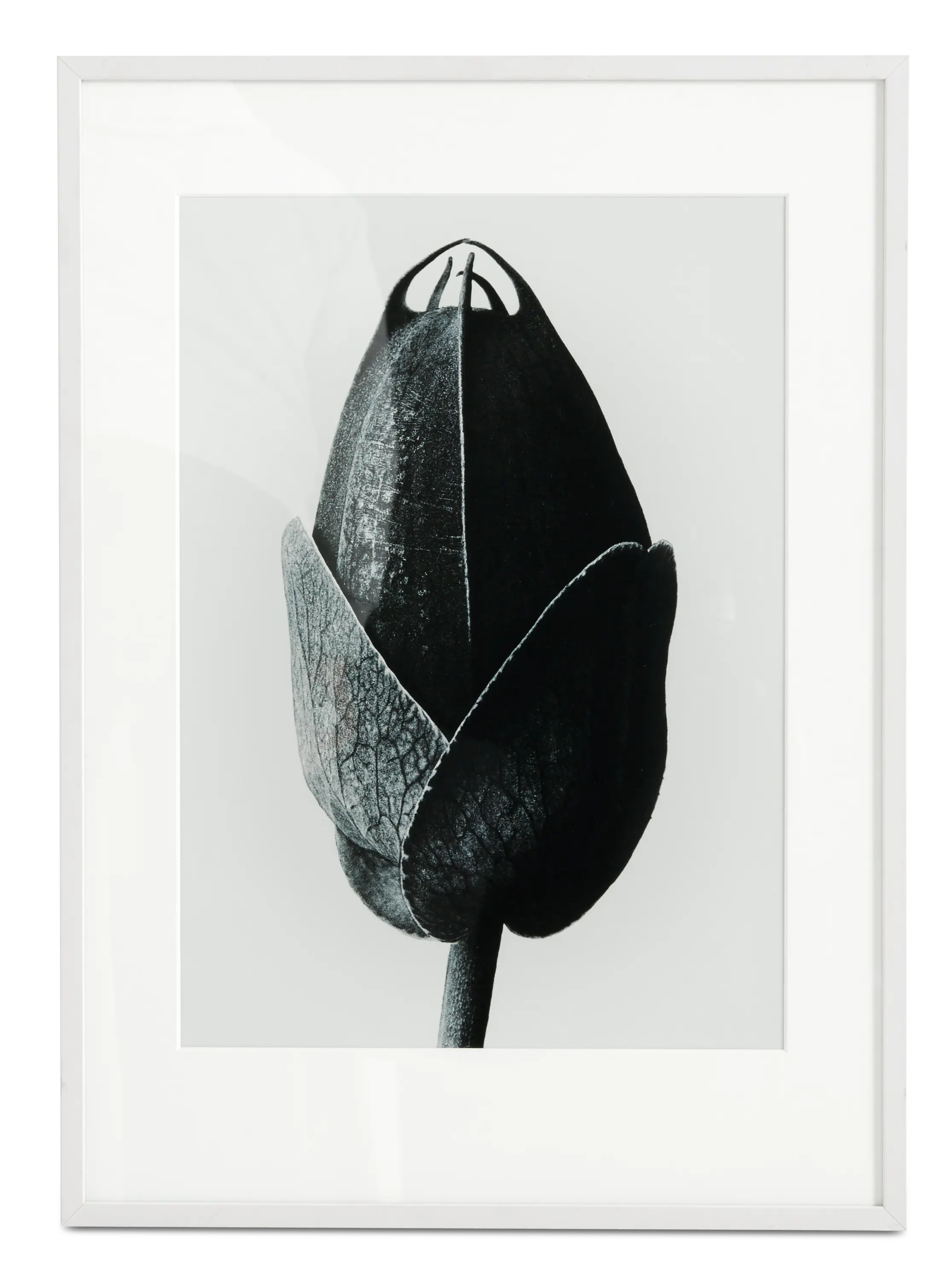 Декор 'Passion Flower'