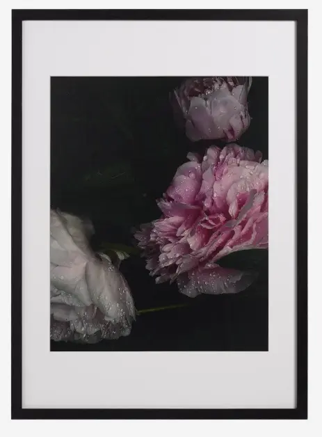 Accessories Photo d'art Flora 1 -50%