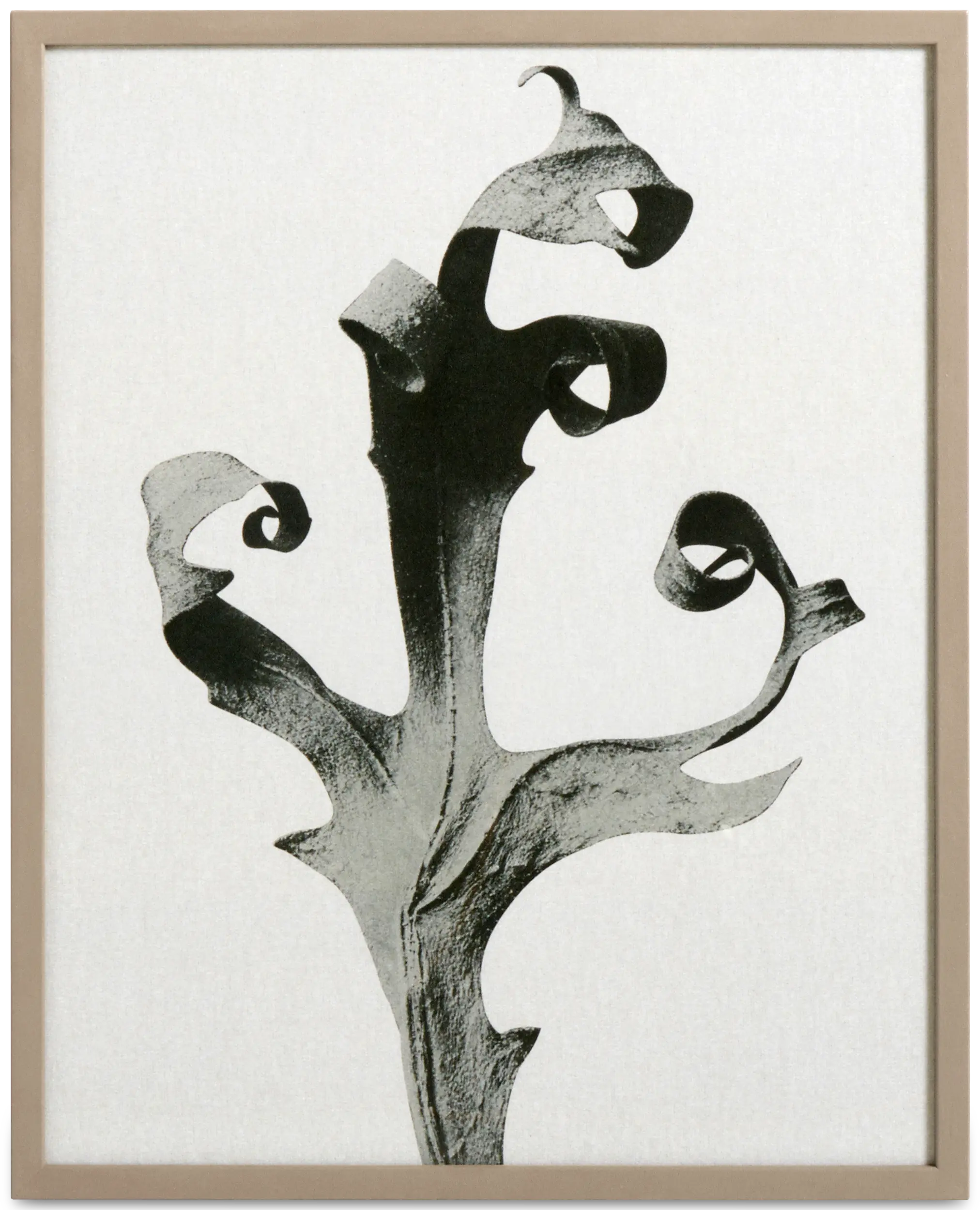 Delphinium Картина