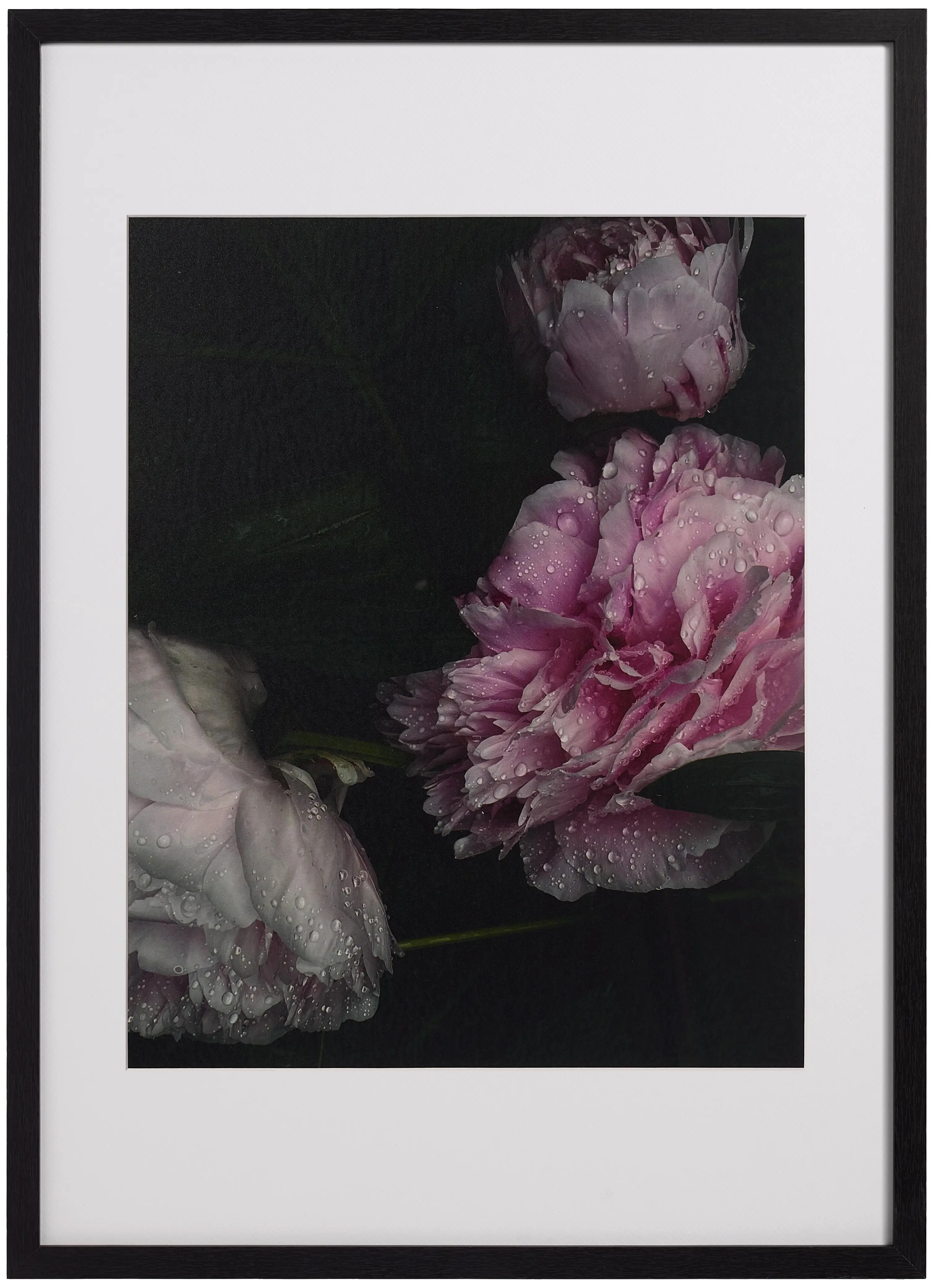 Accessories FLORA - SET OF 3