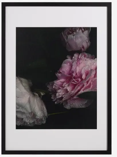 Accessories Flora Form photograph ( 4 Available)