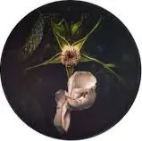 Accessories Glaskunst: Darkness falls