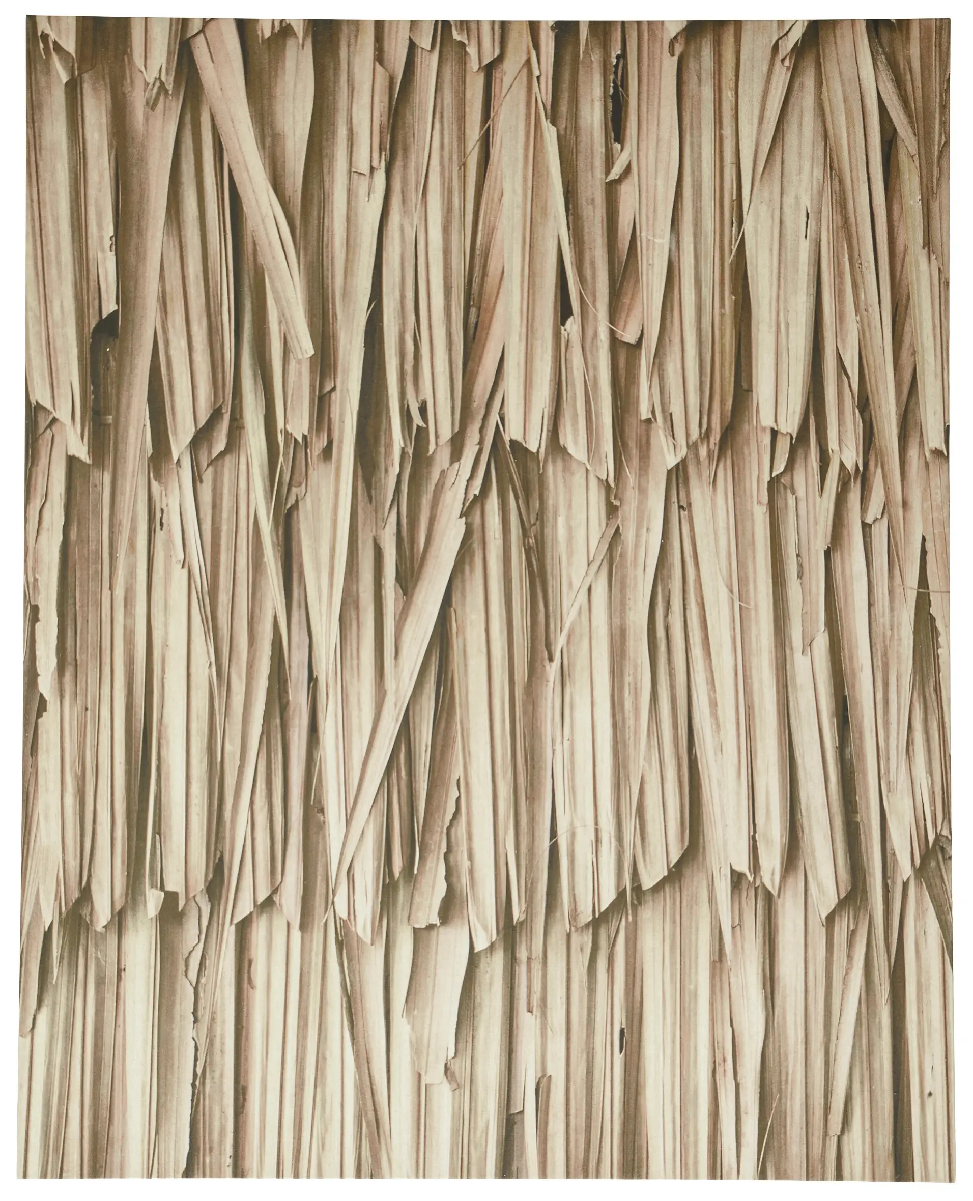 Layers of leaves