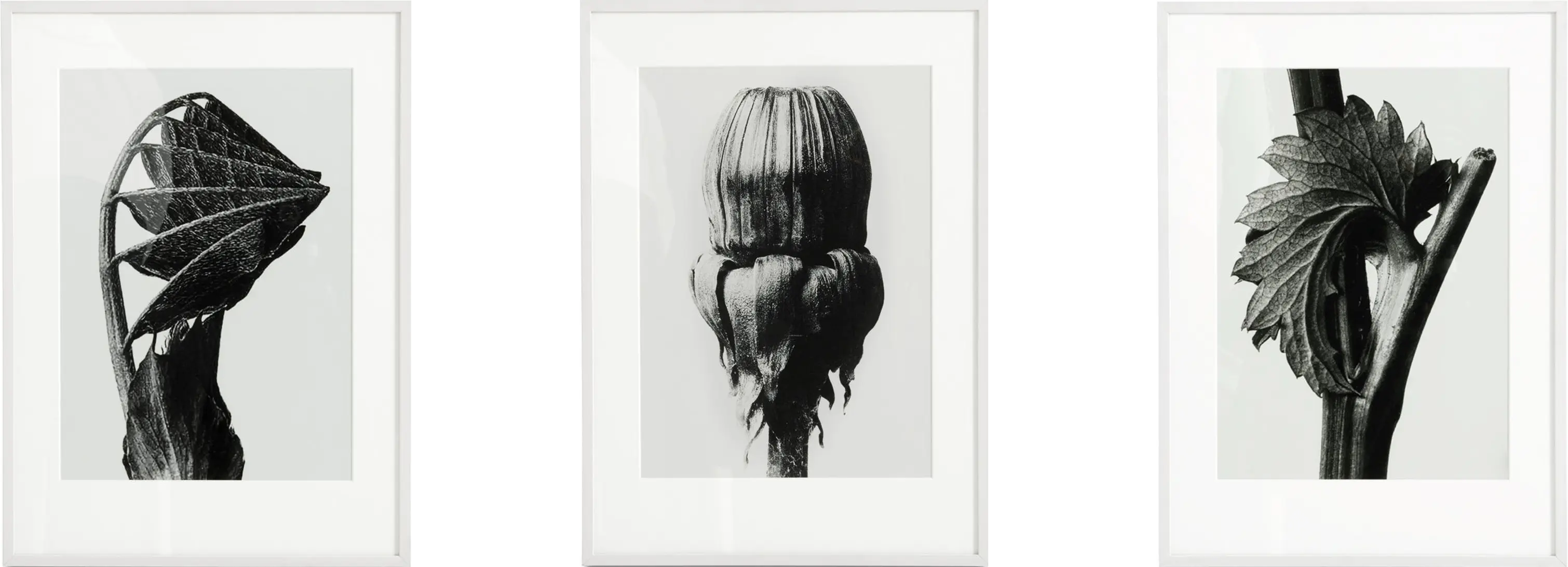 Accessories TRIPTYCH PRINTS (Price for SET OF THREE) - NOW 60% - OSN07