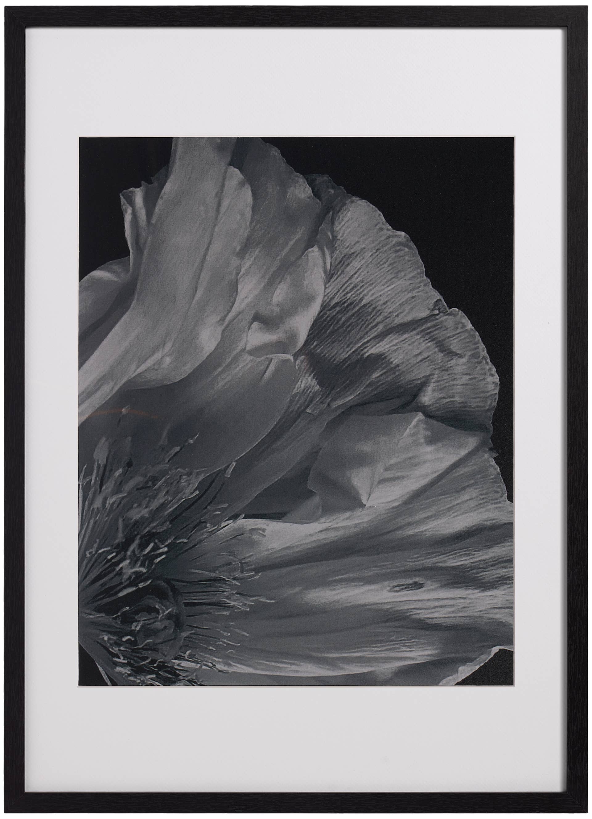 Flora 3