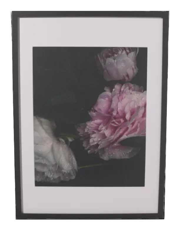 Accessories Flora Art - 50% off - OST09
