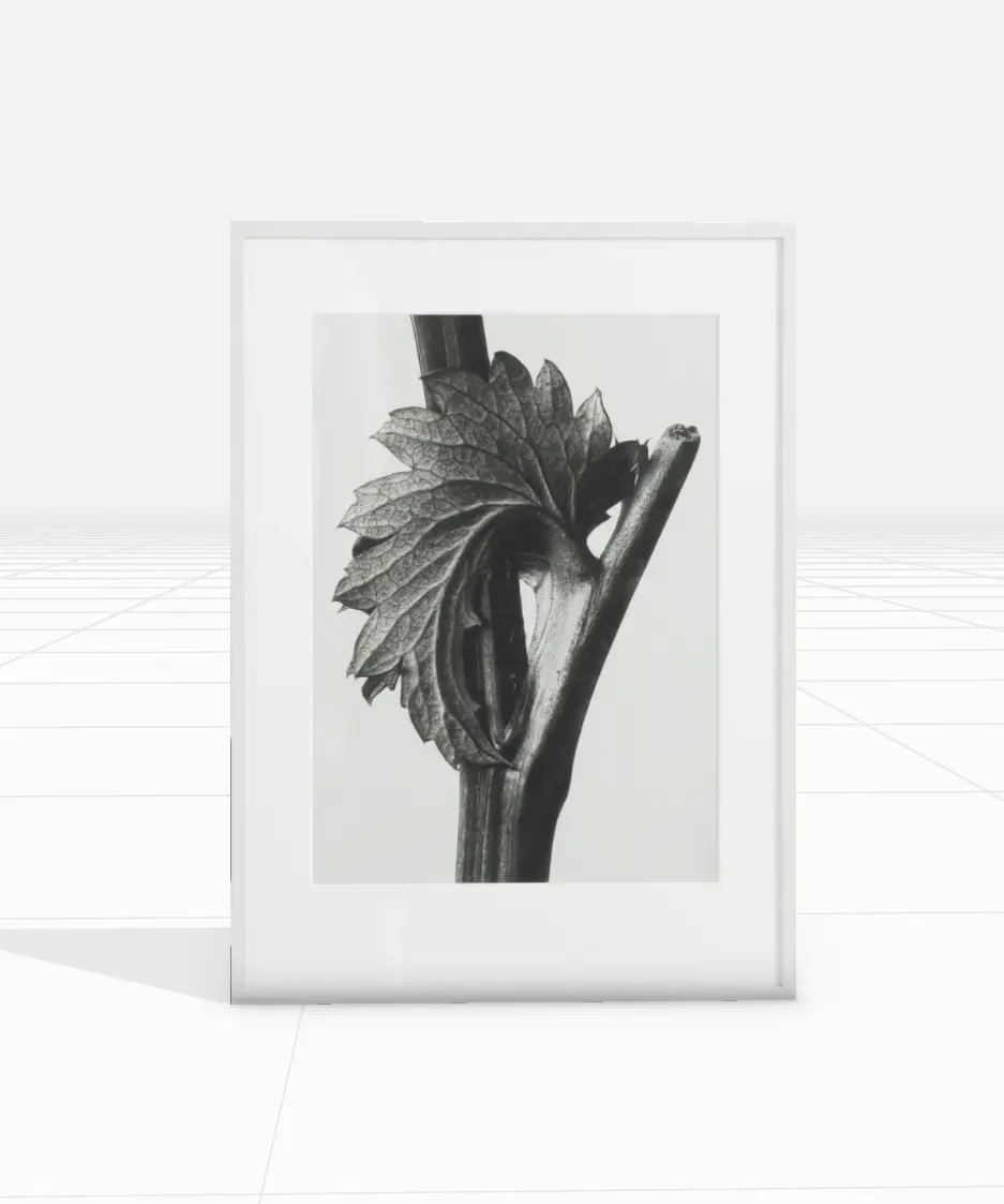 Accessories Tableau Canadian Burnet -40% Ce produit est disponible uniquement en retrait magasin