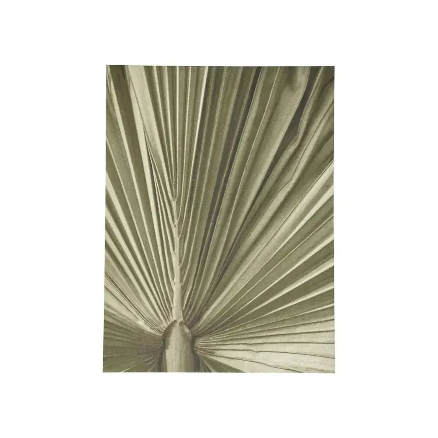 Accessories Tableau Palm leaf -60%