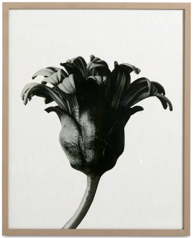 Forms