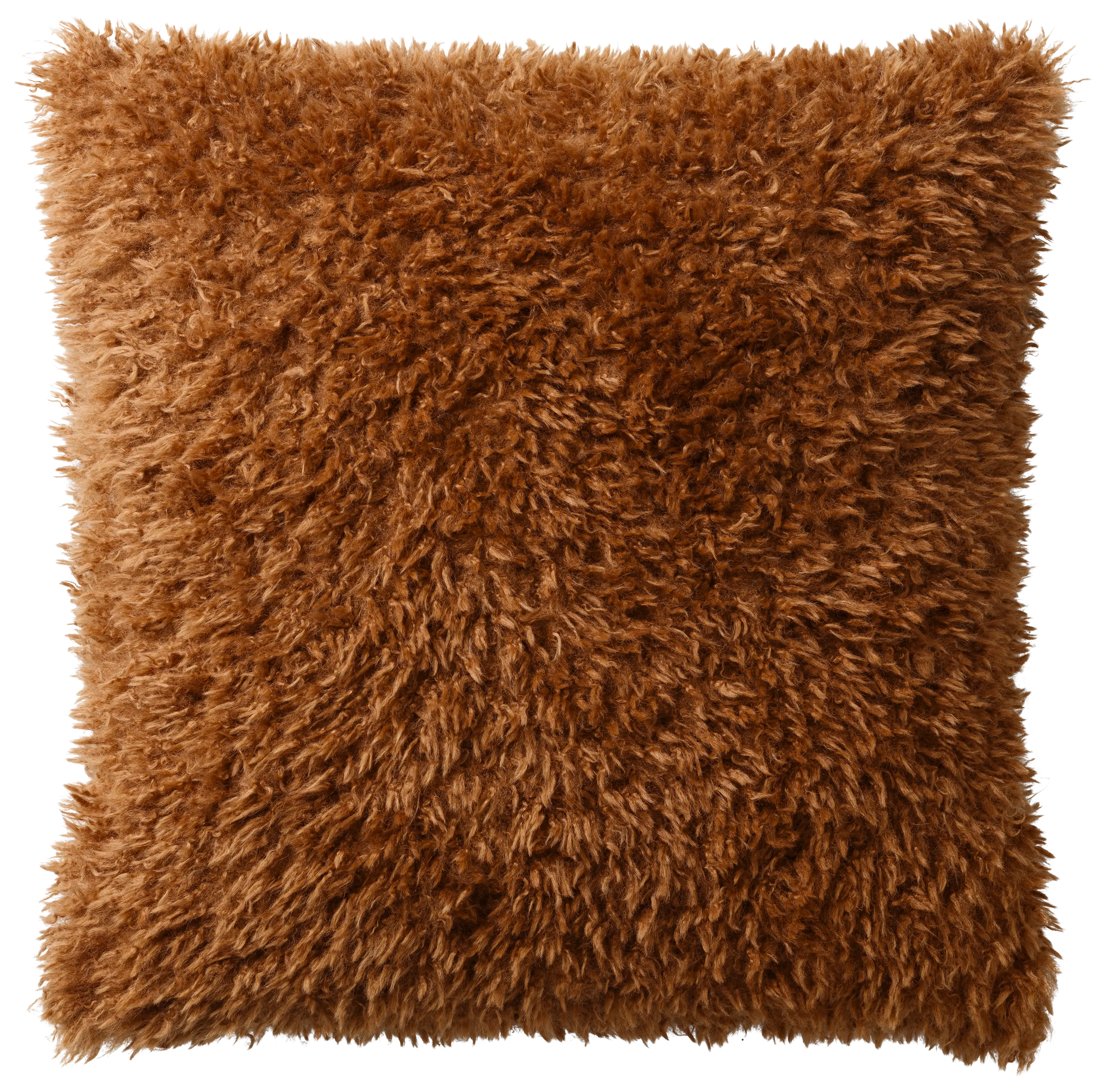 Teddy cushion