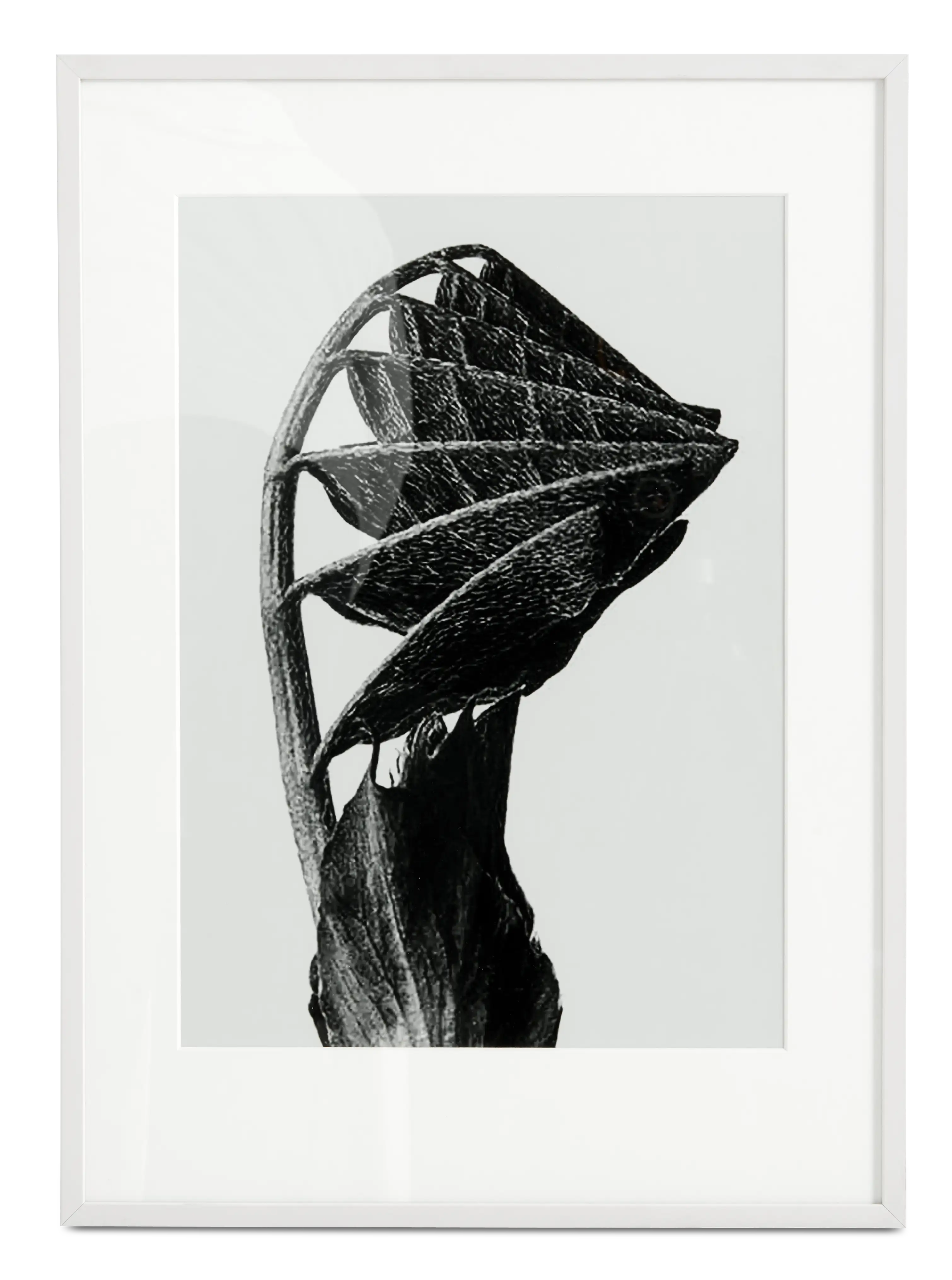 Accessories Nature Form